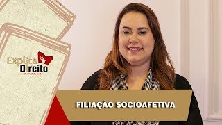 Explica Direito Filiação Socioafetiva  2019 [upl. by Eey]