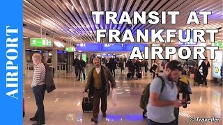 TRANSIT WALK AT FRANKFURT Airport FRA Terminal 1  Connection Flight Transfer Arriving amp Departing [upl. by Hicks]